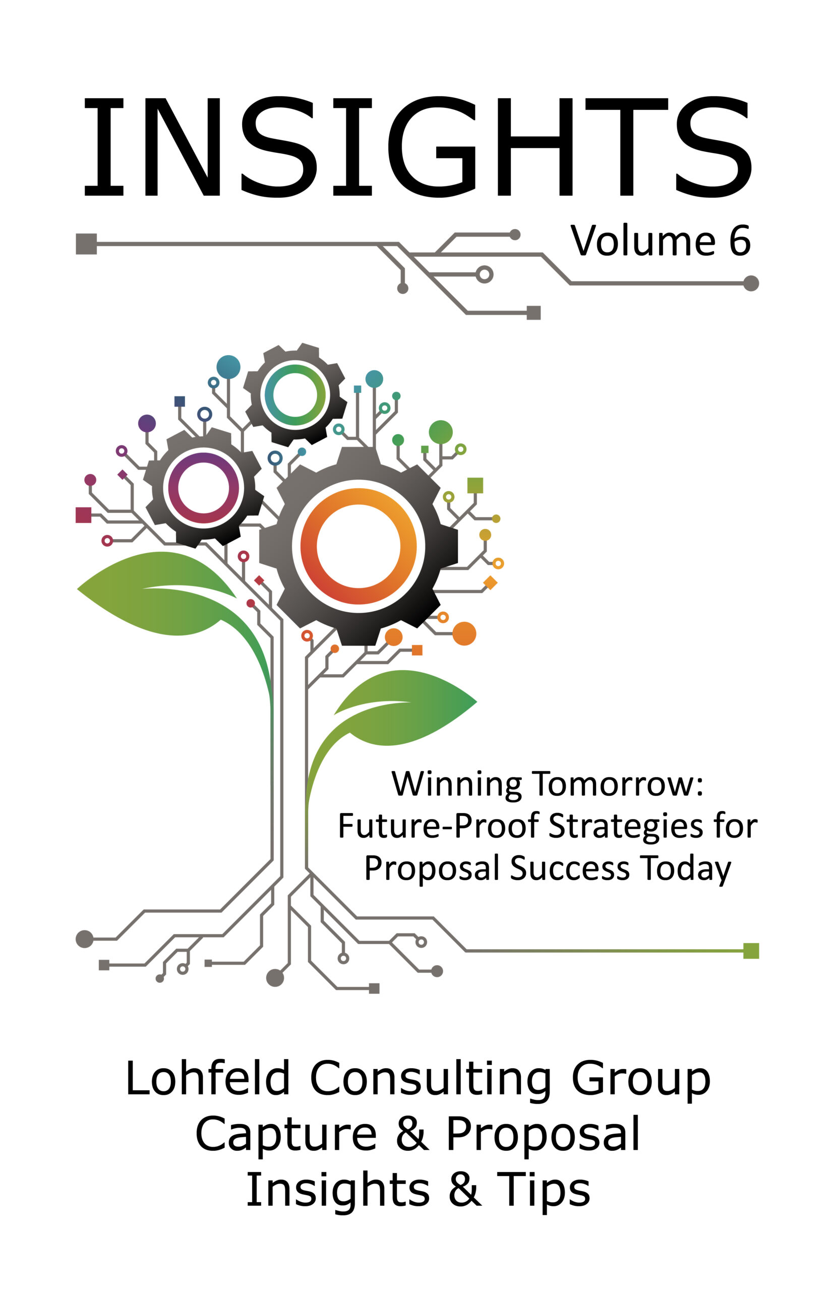Lohfeld Consulting Insights Vol 6