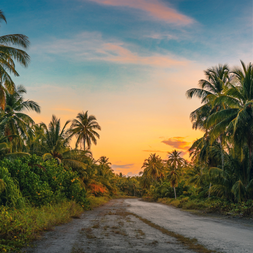 The picture shows an OASIS, which is an analogy for the OASIS+ bid from GSA.