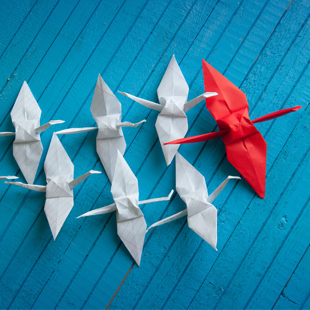 This is an analogy graphic showing discipline.