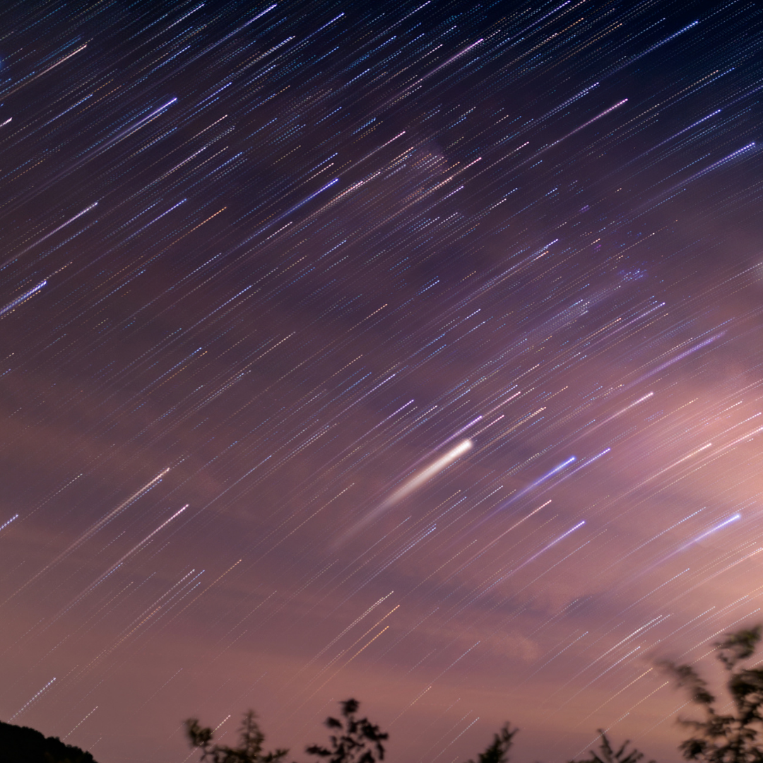 Long-exposure night sky showing colorful star trails over a dark horizon with treetops in the foreground.